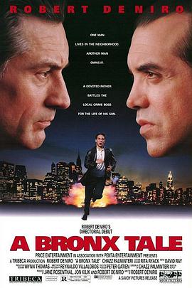 Bronx story